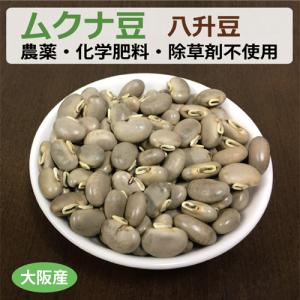 大阪産 生ムクナ豆 500g 八升豆 無農薬 無化学肥料 無除草剤 【ゆう