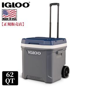 2026年3月】ポータブル冷蔵庫（igloo／アウトドア クーラーボックス