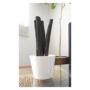 備長炭インテリア おしゃれ 空間 トイレ 玄関 消臭 除湿 カビ対策 風水