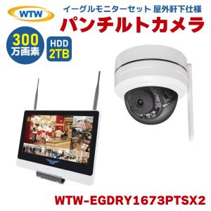 塚本無線 WTW-EGDRY1673PTSX ワイヤレス 防犯カメラ ドーム 無線 監視