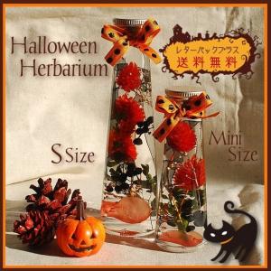 クリスマス ツリーハーバリウム Sサイズ 100ml 送料無料 すっきり