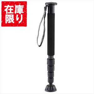 GITZO（ジッツオ） 【OUTLET】ジッツオ カーボン一脚4型6段 GM4562