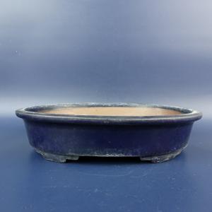 盆栽小鉢：伊藤屯洋(とんよう) 楕円鉢 13.2cm *現品もの 資材 : 遊恵