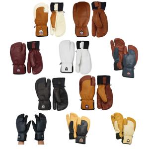 HESTRA（ヘストラ） スキーグローブ フィリップ ラックス エコクイ