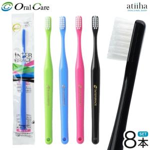 歯ブラシ PHB アダルト ネオン 1箱 (72本入) (各本歯ブラシキャップ付