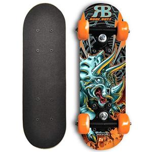 並行輸入品】Landyachtz Dinghy 28