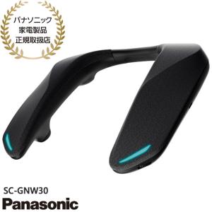 Panasonic ネックスピーカーシステム SC-GNW30 : 家電通販 ナカデン