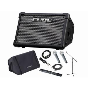 ローランド（Roland） Roland CUBE Street EX/CUBE-STEX 電池駆動