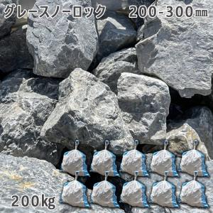 浅間石 100〜200mm 1袋（約15kg） ガーデンロック ガーデニング