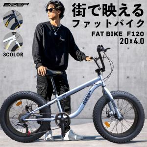 TRINX（トリンクス） ファットバイク 自転車 雪道 砂浜 悪路 海岸 20