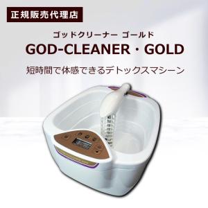 ゴッドクリーナーゴールド GOD-CLEANER・GOLD 交換用電極 カートリッジ