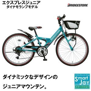 BRIDGESTONE（ブリヂストン） 子供用自転車 エクスプレスジュニア 22