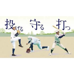 ジャパンライム 北海道野球の真髄 旭川工業 佐藤桂一 771-S 全2巻