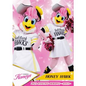 70 【岡本桃花 (巨人/VENUS)】BBM プロ野球チアリーダーカード2023 -華