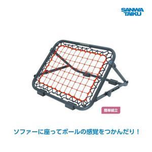 SANWA TAIKU 三和体育 ソフトテニスネット(有結節)検定品 S-2351