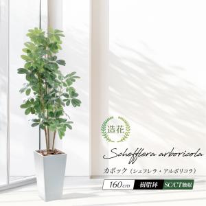 大型 人工観葉植物 140cmプレミアムウンベラータツリー 造花 （別途