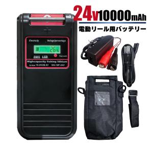 DAIWA（ダイワ） シマノ 電動リール 用 大容量 バッテリー 充電器