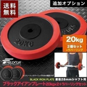 1年保証 バーベル 用 プレート 10kg 2個セット ブラックアイアン +