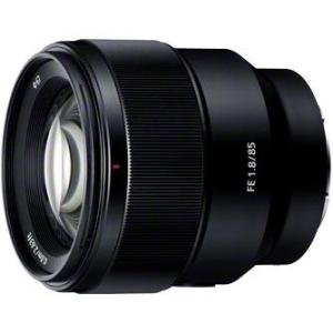 SONY（ソニー） 【長期保証付】 Vario-Tessar T* FE 16-35mm F4 ZA OSS