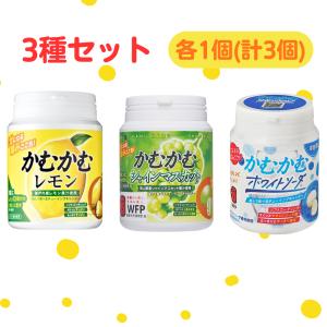 ロッテ（LOTTE） キシリトール ガム 6個 セット ライムミント 7種