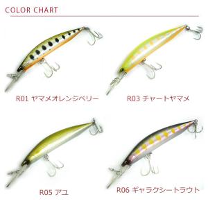 RayTune（レイチューン） デュプレックス シンキング DP45RR 45mm