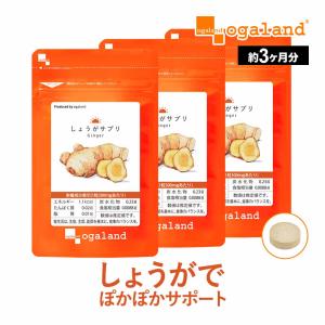 ○2個セット RIZAP ライザップ COMMIT WITH BURN+ コミット ウィズ