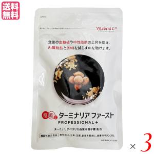 ターミナリアファースト プロフェッショナル3(スリー)120粒 機能性表示