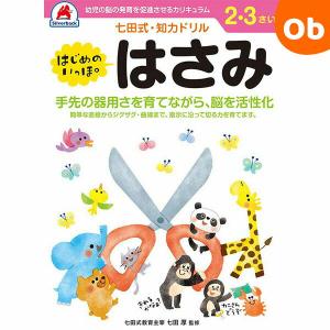 鉄緑会 高3 化学 化学の登竜門 無機化学篇 テキスト 状態良い 2024