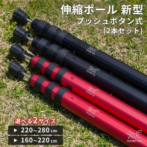 NEMO（ニーモ） アジャスタブルタープポール L セット (2本 +