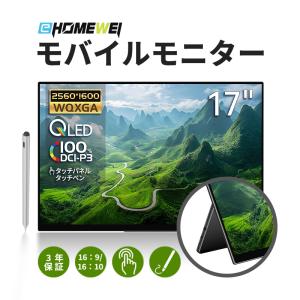 EHOMEWEI モバイルモニター EHOMEWEI LQHG-156NW ゲーミングモニター