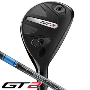 Titleist（タイトリスト） 2023 T200 TENSEI AV BLUE AM2 アイアン