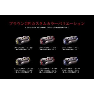 fino フィーノ 2個 ブラウンIP ファイヤー 各種 Livre リブレ ハンドル