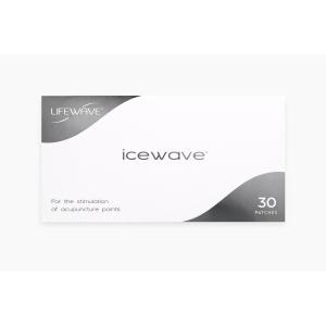 ライフウェーブ X39 パッチシール 30枚 説明書あり : セラフィーネット