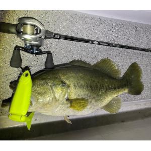 10【大型商品】 パッションズ スペンサー88M spenser88M : 鶴ヶ島