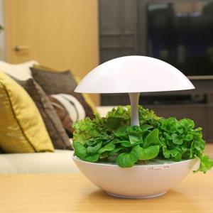 水耕栽培キット Akarina05 ブルー サラダ菜たね スポンジ 液体肥料 灯