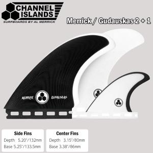 futures.（フューチャー） future フィン ツインフィン ツインスタビ