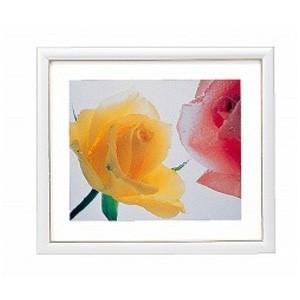 FUJIFILM（フジフイルム） お取り寄せ フジカラー 高級 おしゃれ 額縁