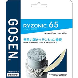 GOSEN（ゴーセン） ライゾニック 58(RYZONIC 58) BSRY58 バドミントン
