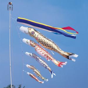 ワタナベ鯉のぼり こいのぼり 錦鯉 ワタナベ 鯉のぼり 黄金 10m 6点 鯉