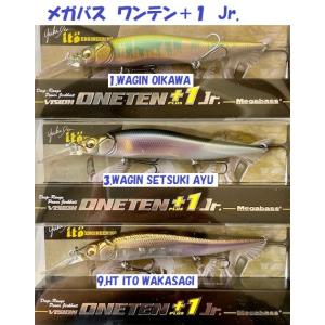 Megabass（メガバス） （お取り寄せ商品） リン Lin 10 MARS （右