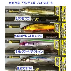Megabass（メガバス） プロップダーター110 / Megabass Prop Darter