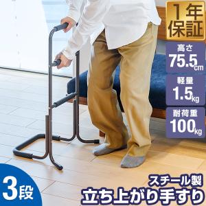 据置式手すり BZ-N01 たよレール マツ六 1個 いすソファー用 介護 国産