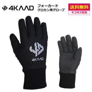 ケーブイプラス KV+ クロスカントリースキー ケース ローラースキー