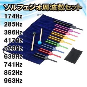 音叉 おんさ チューナー 528Hz DNA セット ラバーマレット付