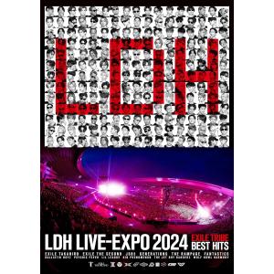 LDH LIVE-EXPO 2024 -EXILE TRIBE BEST HITS-(DVD2枚組) [DVD] : luna