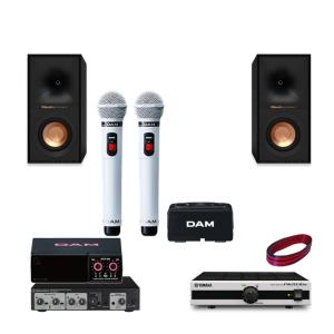 DAMカラオケスピーカーセット ワイヤレスマイク2本付き 自宅カラオケに