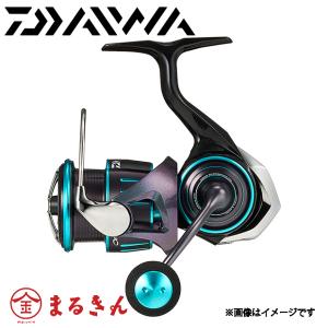 DAIWA（ダイワ） スピニングリール エメラルダス RX LT2500 23年モデル