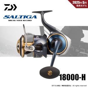 DAIWA（ダイワ） 決算セール 25 ソルティガ 14000-XH 送料無料 : ます