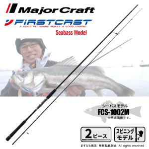 Major Craft（メジャークラフト） (数量限定特価)メジャークラフト