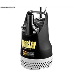 寺田ポンプ 水中ポンプ PG-400 (単相100V/0.4kW/非自動型